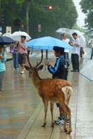 rain moments2